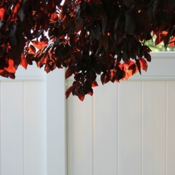 Bright white vinyl privacy fence with dark red leaves hanging above.