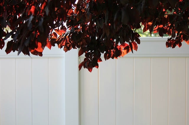 Bright white vinyl privacy fence with dark red leaves hanging above.